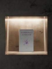 Techniki pracy z emocjami - e-book