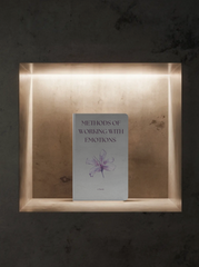 Methods of working with emotions - e-book