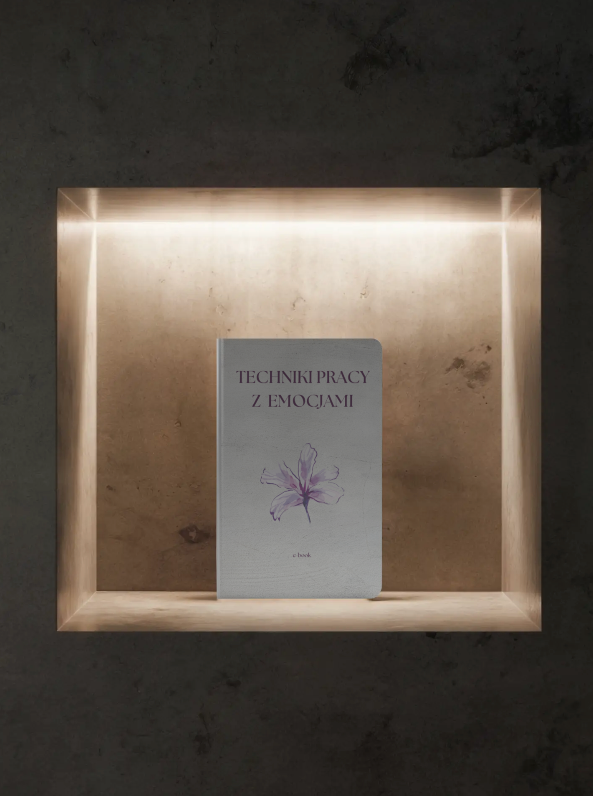 Techniki pracy z emocjami - e-book